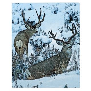 Buck deer in snow photo plaques