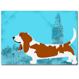 basset hound dog   fine art print by indira albert
