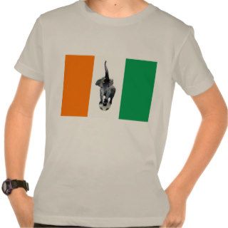 Ivory Coast Cote D'Ivore Soccer Flag T Shirt