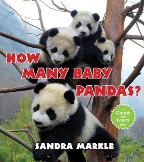 How Many Baby Pandas? Sandra Markle 9780802722478 Books