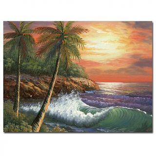 Rio 'Maui Sunset' Canvas Art Print   47" x 35"