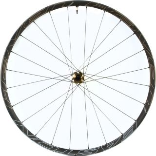 Easton Haven Carbon Wheel   29in