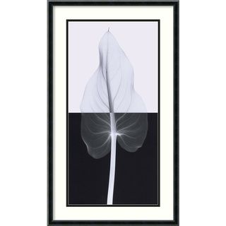 Steven N. Meyers 'Calla Leaf II' Framed Art Print Prints