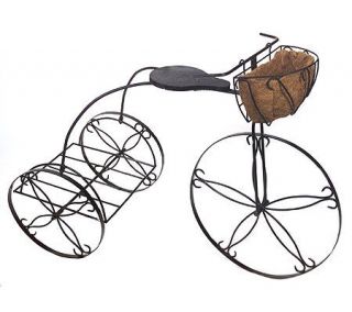Metal Tricycle Planter with Wire Basket —
