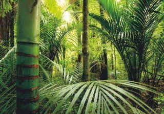 Fototapete Tapete Natur Dschungel Wildniss Pflanzen Foto 360 cm x 270 cm Baumarkt