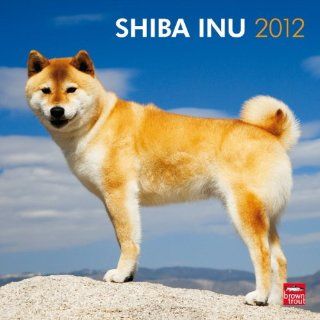 Shiba Inu 2012 Browntrout Publishers Fremdsprachige Bücher