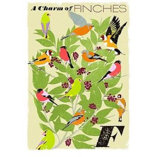 graphic design print finches by lavender room