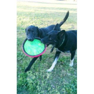 Booda Tail Spin Flyer, 10 inch  Pet Flying Discs 