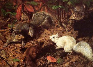 WHITE SQUIRREL PLAYING FOREST SPECIAL CANVAS BY WILLIAM HOLBROOK BEARD REPRO   Prints