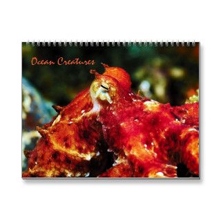 Ocean Creatures Calendar 2013 Calendar