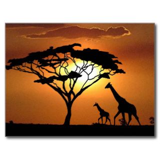 giraffe family post card
