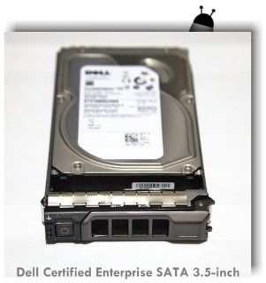 Dell Certified 2 TB Enterprise 3.5" SATA Hard Drive for Poweredge R610, R710, R720, R410, R415, R510, R320, R420, R520, W/ Caddy Computers & Accessories