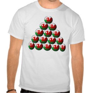Welsh Flag Snooker Balls T Shirt