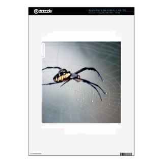 Insect Black And Yellow Argiope Skins For iPad 3