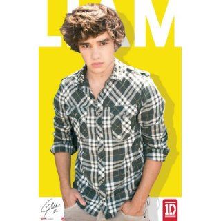 1D   Liam Payne 2013 Poster Browntrout Publishers 9781465006981 Books