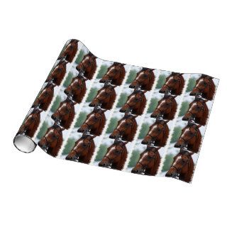 Show Horse Gift Wrap