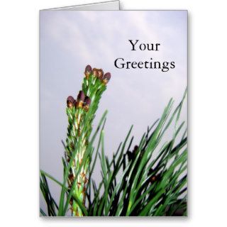 Upward/ Flowering Pine All Occasion Greetings Cards