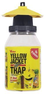 Victor Poison Free M362 Reusable Yellow Jacket & Flying Insect Trap  Natural Single Saucer  Patio, Lawn & Garden