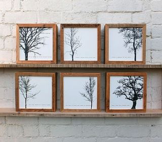 framed 'winter trees'; reclaimed wood by coulson macleod