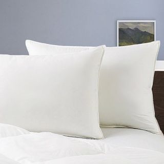 Concierge Collection 233 Thread Count Optima Down Alternative 2 pack bed Pillow