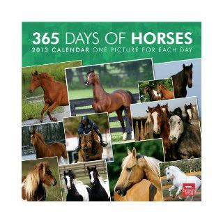 Horses 365 Days 2013 Calendar Browntrout Publishers 9781421699622 Books