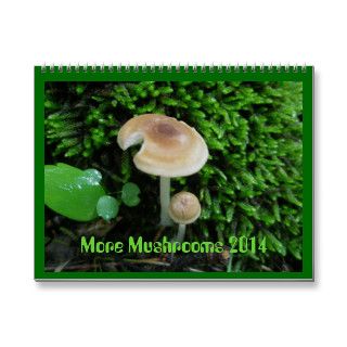 2014 Calendar More Mushrooms