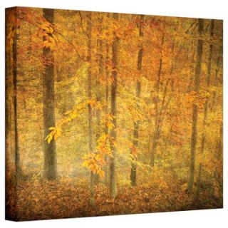 Art Wall Lost in Autumn by David Liam Kyle Photographic Print on