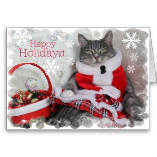 Happy Holidays with Funny Cat Greeting Card