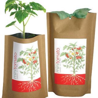 mini tomato garden in a bag by urbana