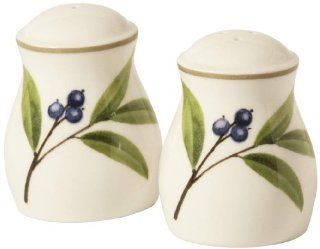 Noritake Berries and Brambles Salt and Pepper Shakers, 2 1/2 Inch Combined Pepper And Salt Shakers Kitchen & Dining