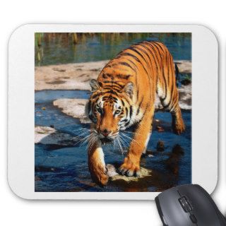 Tiger Prowler Bengal Mouse Pads