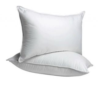 Sealy Posturepedic QN 300TC Egy. Cotton MaxiLoft Pillows   S/2 —