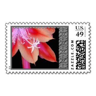 ORANGE & PINK Wedding Tropical Flower Lace Accent Postage