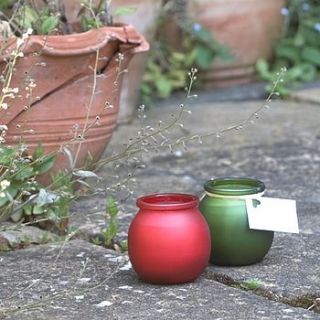 outdoor natural candle by aroma candles