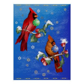 Two Christmas Birds Poster
