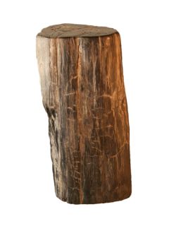 Petrified Wood Stool/Side Table by Central Station