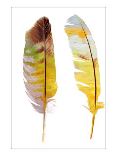 Sunset Feathers (Canvas) by Marmont Hill