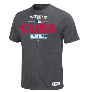 MLB Chicago Cubs T Shirt, Medium, Grey  Sports Fan T Shirts  Sports & Outdoors