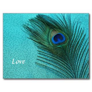 Metallic Aqua Blue Peacock Feather Postcards