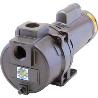IPT Two-Stage Sprinkler Booster Pump — 3480 GPH  Booster   Sprinkler Pumps