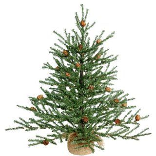 24" Carmel Pine W/Cones 480t Burlap Base   Christmas Trees