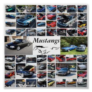 Mustangs Poster Print