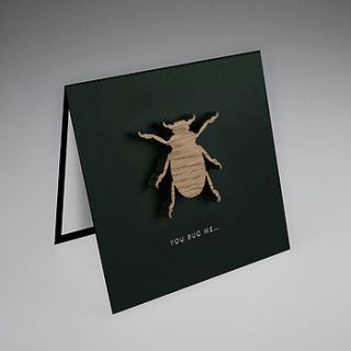 oak beetle magnetic gift card by hupa lupa