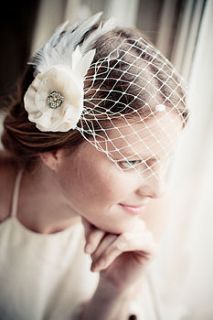 dolly birdcage veil by silver sixpence in her shoe