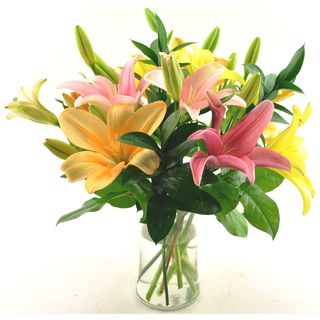 Sweets in Bloom 'Spring Lilies' Gift Bouquet Sweets in Bloom Single Flower Bouquets