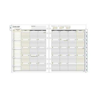 Day Runner Monthly Refill 491 685 8, 5" x 11"  Appointment Book And Planner Refills 