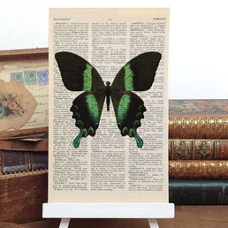 peacock butterfly antique book page print by roo abrook