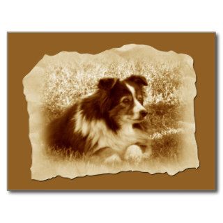 Vintage Dog in Sepia Tones Postcards