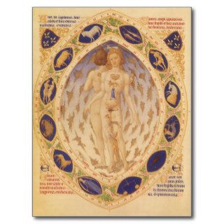 Vintage Astrology, Antique Celestial Zodiac Chart Postcard