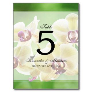 Elegant Orchids Wedding Table Number Post Cards